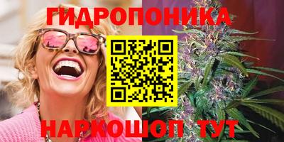 амф Рыбинск
