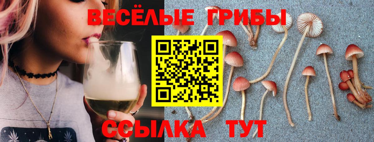 Псилоцибиновые грибы MAGIC MUSHROOMS Новочеркасск