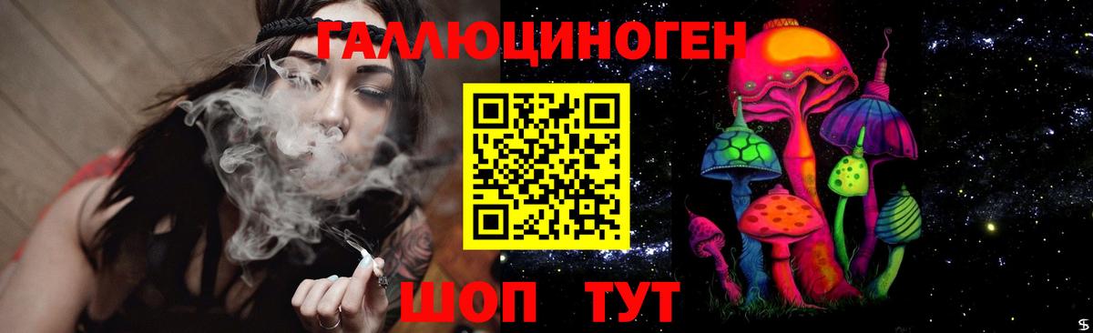 Новочеркасск  Псилоцибиновые грибы прущие грибы  Вход с VPN  Галлюциногенные грибы GOLDEN TEACHER 